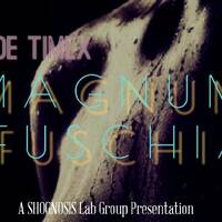 Olde TIMEX: MAGNUM FUSCHIA (ALBUM MIXER) by PeBe KaFeen