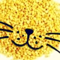 #22 Du Quinoa dans les Moustaches by Du Quinoa Dans Les Moustaches