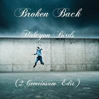 Broken Back - Halcyon Birds ( 2Gemeinsam Edit ) by 2Gemeinsam