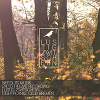 Needles Musik - Live Recording - Lustig Zwitschern 24.10.14 Lightplanke Club Bremen by NEEDLES MUSIK