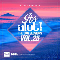 It's A Lot! The UKG Sessions, Vol. 25 by DJ E1D