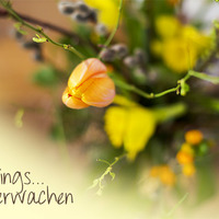 Red​White​Blue&amp;Yellow - Frühlings Erwachen by Beyond The Lights