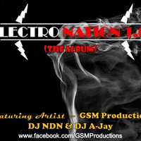 ELECTRO NATION 1.0 (The Album)