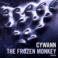 cywann - The frozen monkey by cywann