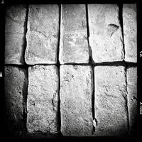 dMaEnScEeNg by SIRQBASS