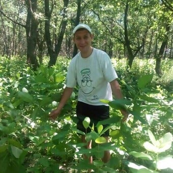 Андрей Зотов
