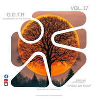 GOTR VOL.17 Mixed by Frost De Deep by GOVERNORS OF THE RHYTHM