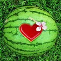 Grenzpunkt Null - air heads watermelon. by Grenzpunkt Null Sound