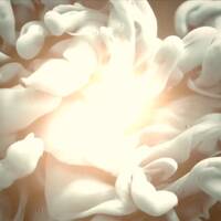 Still Got Fight - feat. Ashes and Dreams by Rudolf Steiner