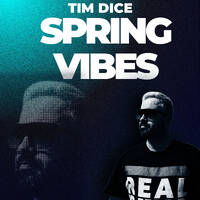Spring Vibes DJ Mix (Free Download) by TIM DICE