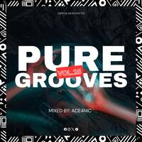 Pure Grooves Vol.25 Mixed By.ACE4NIC [Apr'24 Heavyhittz] by Pure Grooves Music SZ