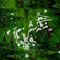 Muguet confiné by Gérard Delassus