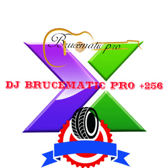 BRUCEMATIC PRO +256