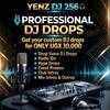 Yenz Dj 256