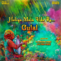 Holiya Mein Ude Re Gulal - DJ Sam3dm SparkZ &amp; DJ Prks SparkZ by DJ Sam3dm SparkZ