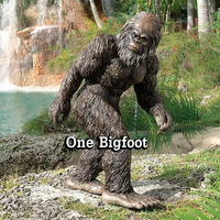 One Bigfoot by Alan Hamilton