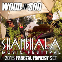 Wood N Soo - Shambhala 2015 Fractal Forest Mix by Wood n Soo