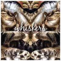 Whitness - whiskers (Oct 2016) by Whitness