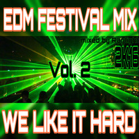 EDM Festivalmix 2k16 Vol 2 by dj raylight