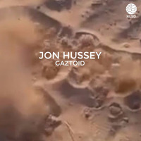 RLSD Podcast // 004 Jon Hussey-Gaztoid by Jon Hussey
