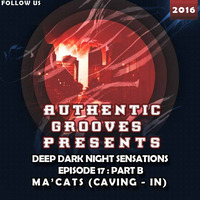 DDNS # 17 Guestmix By Macats by Authentic Grooves