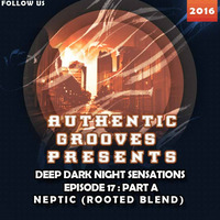 DDNS #17 Guestmix By Neptic by Authentic Grooves