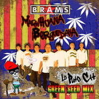Brams - Marihuana Berguedana (Lo Puto Cat Green Seed Mix) by Lo Puto Cat