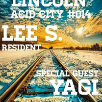 Lee S. - Lincoln Acid City #014 by Lee Swain
