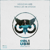 Neidonhard - Whistles In Storm (Extended Mix) by Neidonhard
