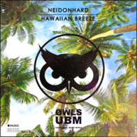 Neidonhard - Hawaiian Breeze (Original Mix) by Neidonhard