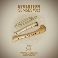 David Sainz - Airplane (Orignal Mix) [EVOLUTION SENSES RECORDS] by David Sainz
