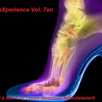 DEEP eXperience  Vol. Ten  &gt;&gt;&gt;  Compiled &amp; Mixed By Cesare Maremonti MusicSelector® by Cesare Maremonti MusicSelector®