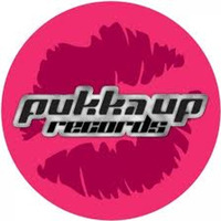 Ridney ft. Terri B - What Can I Do (Rise Up)(Ted Nilsson Remix) [PUKKA UP] TEASER by Ted Nilsson