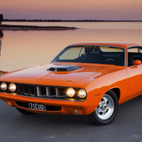 Orange Plymouth by Curtis Pea