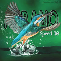 Speed ('16) by Mirano