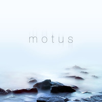 Motus by Bassic