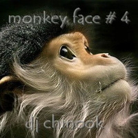 Monkey face # 4 by djchinook