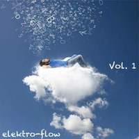 elektro flow Vol. 1