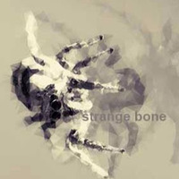 strange bone by rabaatz