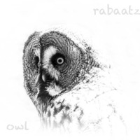 Owl by rabaatz