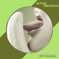 Arman Stevence - Bitch Lady (2013 Techy Remix) by DJ ARMAN STEVENCE