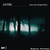 BR003 Livtek - Floor One (Original Mix) [BERGMANN RECORDINGS] by Bergmann Recordings