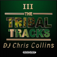 Tribal Tracks 3 by DJ Chris Collins