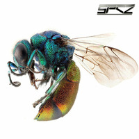 SPCZ - Dubnotic - It was meant 2 be (SPCZ Remix) by SPCZ