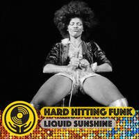Hard Hitting Guitar Funk &amp; Country Funk - Liquid Sunshine @ The Face Radio - Show #95 - 15-02-2022 by Liquid Sunshine