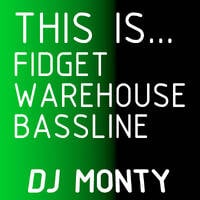 This Is... The Best of Lee Mortimer Bassline Fidget and Electro House (2006 to 2009 ish) by DJ Monty UK