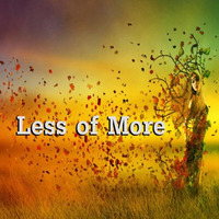 Less Of More by Alan Hamilton