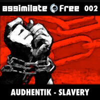 Audhentik - Slavery  ASSIMILATEfree 002 by CATIVO