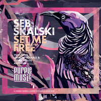 Seb Skalski feat. Anthony Poteat - We Need Love (Original Mix)  taken from "Set Me Free" Album by Seb Skalski
