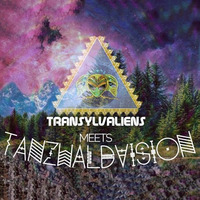 Transylvaliens Tanzwaldvision (23.4.16) [145 - 163 bpm] by NEO//LIX (Deep Thought Productions)